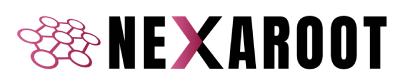 Nexaroot Technology India Pvt Ltd Logo